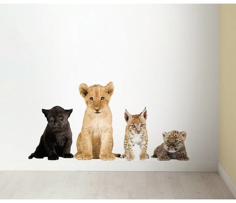Kek Amsterdam Stickers muraux dans Set de 4 lion, panthère noire, le lynx, le léopard, div. Dimensions
