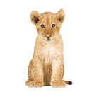 Kek Amsterdam Stickers muraux Lion, 70x115cm