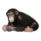Kek Amsterdam Stickers muraux chimpanzé, 29x44cm