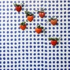 NLXL-Paola Navone Wallpaper Blue Dots blue 900x49cm