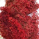 DF Broom Bloom red 50 cm