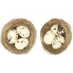 RICO NATURAL NEST WITH EGGS, CREAM, 2PCS  ÃƒËœ 6,5 CM