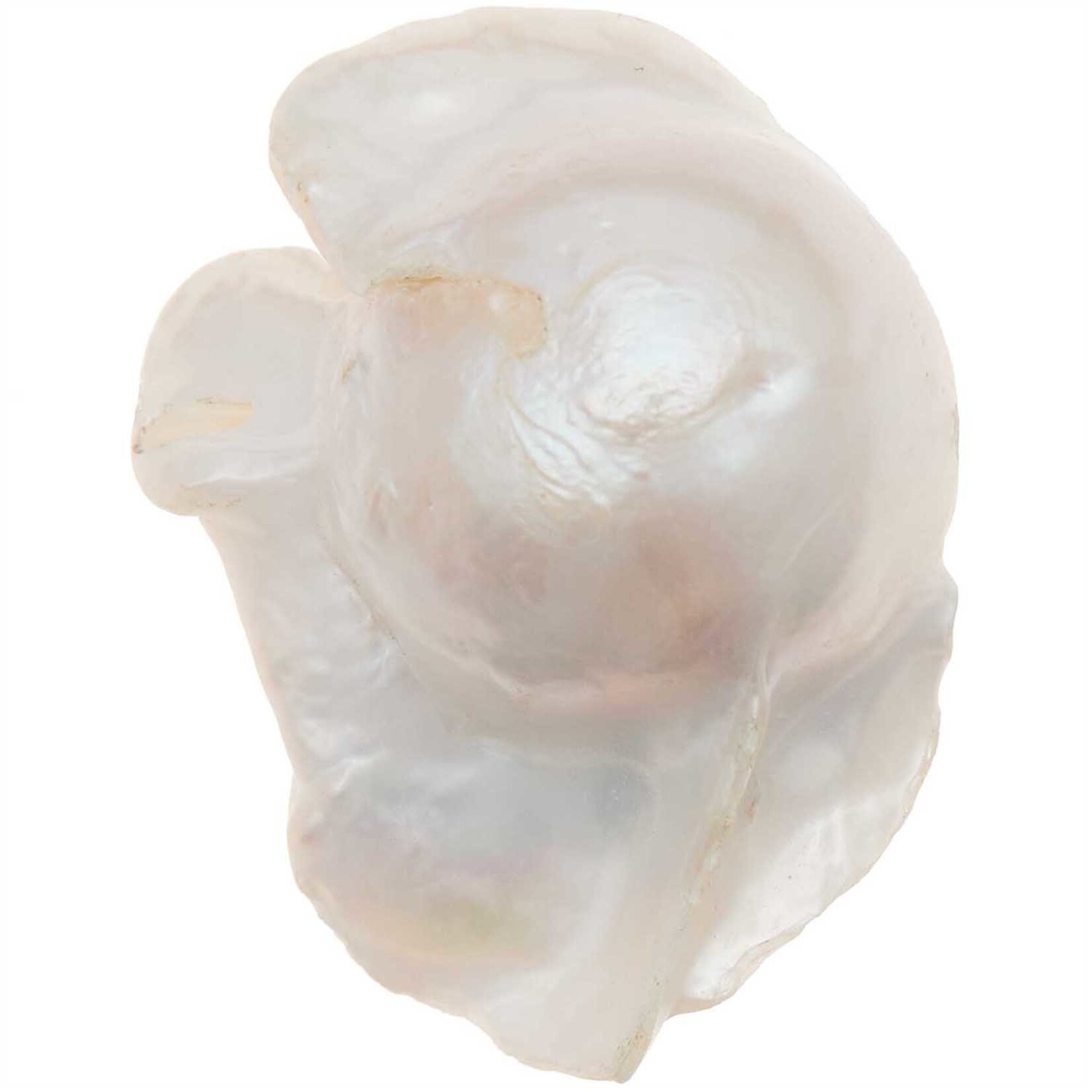 RICO Freshwater pearl natural, baroque, 1 pc, ca. 28 x 16 x 12 mm