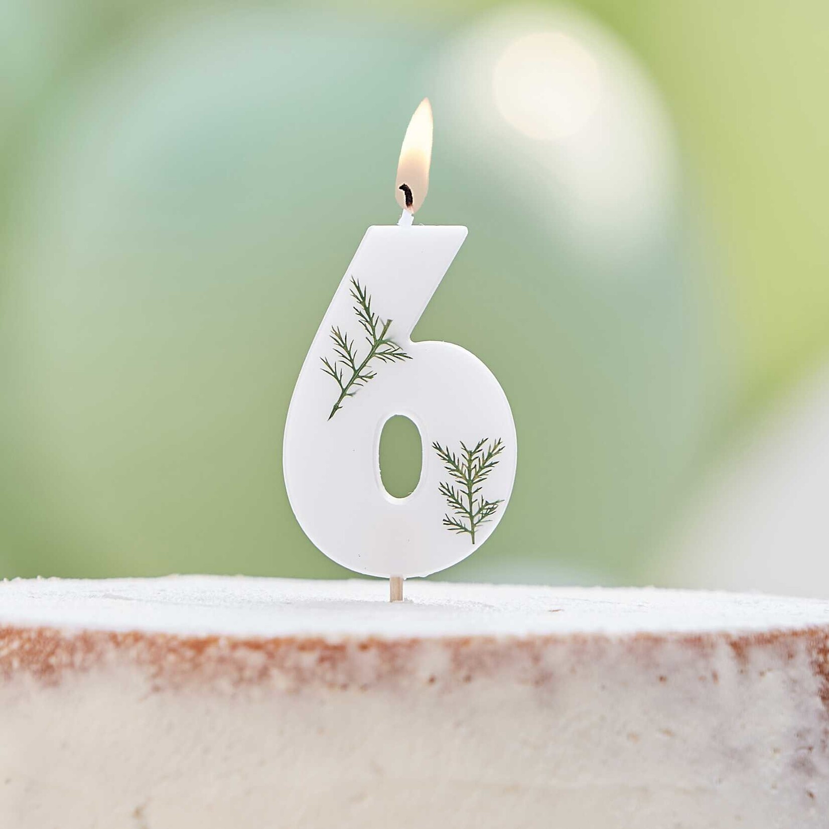 GINGERRAY Leaf Foliage Number 6 Birthday Candle