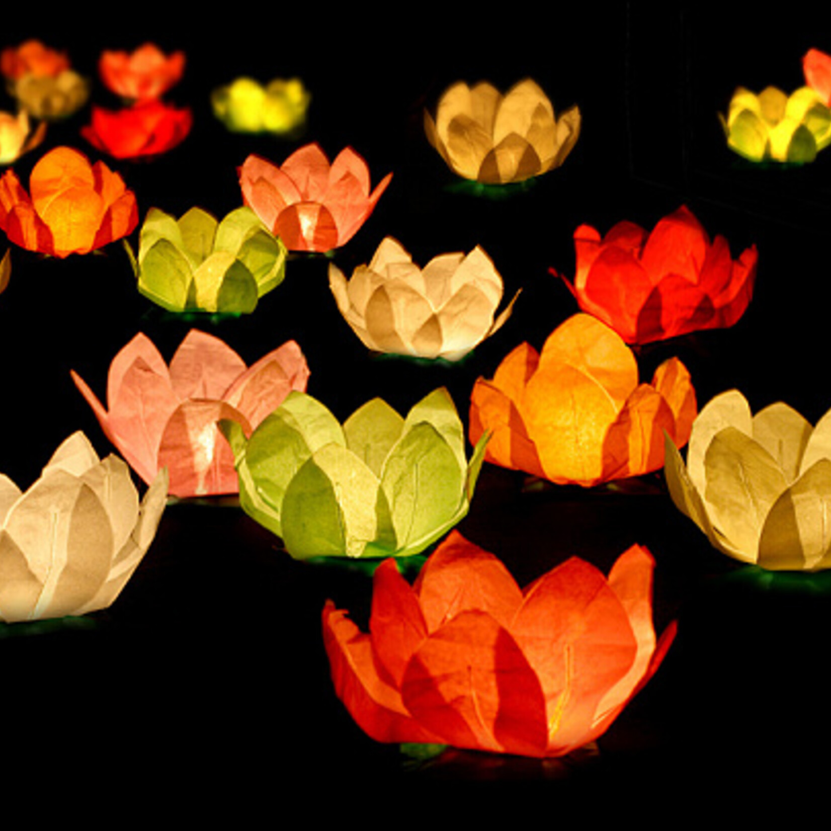 PD Floating lanterns, mix, 29cm