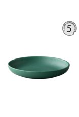 Stylepoint Tinto deep plate matt green 23,5cm
