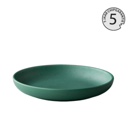 Stylepoint Tinto deep plate matt green 23,5cm