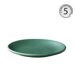 Stylepoint Tinto plate matt green 15 cm