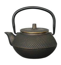 Teaclassix Arare teapot 0,35 ltr, goud