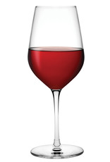 Stylepoint Climats witte wijnglas 500 ml