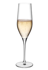 Stylepoint Vinifera champagne glas 255 ml