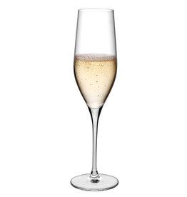 Stylepoint Vinifera champagne glas 255 ml