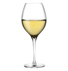 Stylepoint Vinifera white wine glass 365 ml