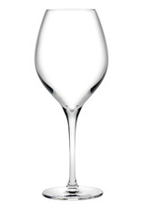 Stylepoint Vinifera universeel wijnglas 450 ml