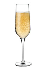 Stylepoint Refine champagne glass 200 ml