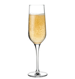 Stylepoint Refine champagne glass 200 ml