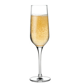 Stylepoint Refine champagneglas 200 ml