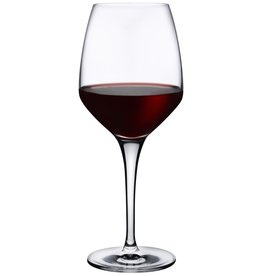 Stylepoint Fame burgundy glass 510 ml