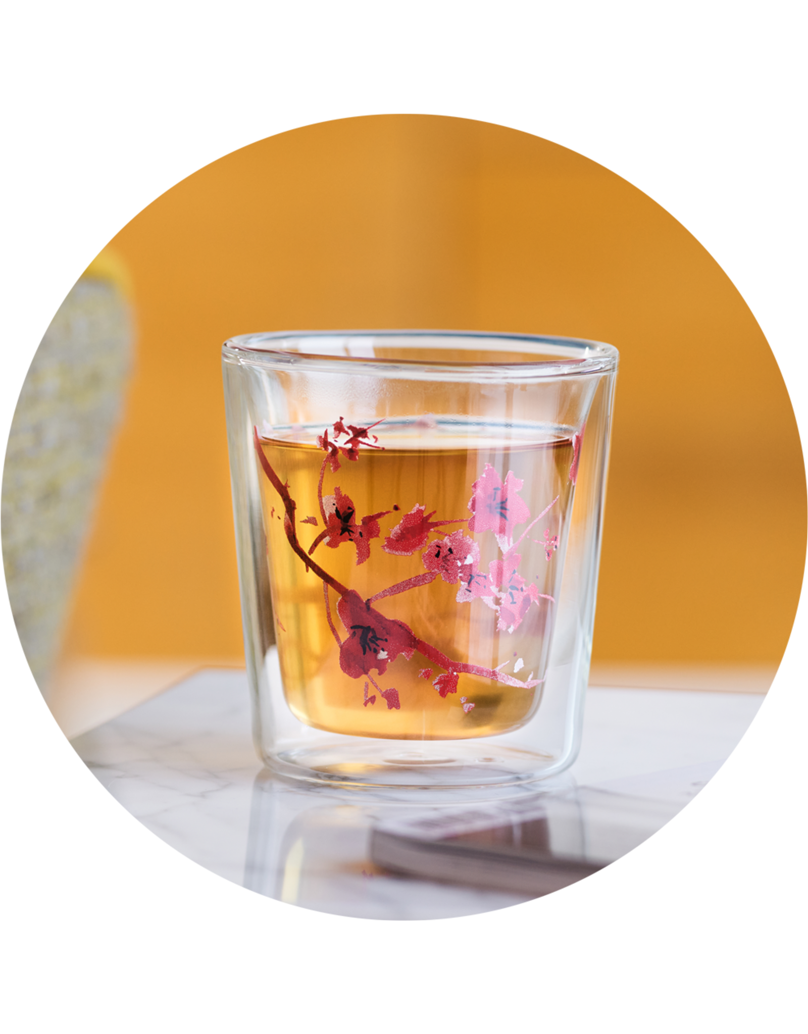 Eigenart Theeglas Lyn Cherry Blossom dubbelwandig  temperatuur-resistent borosilicaat glas 250 ml