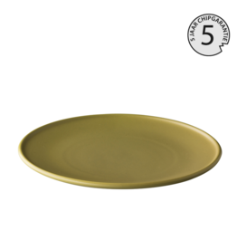 Stylepoint Hygge bord mat groen 28 cm - 5 jaar chip garantie