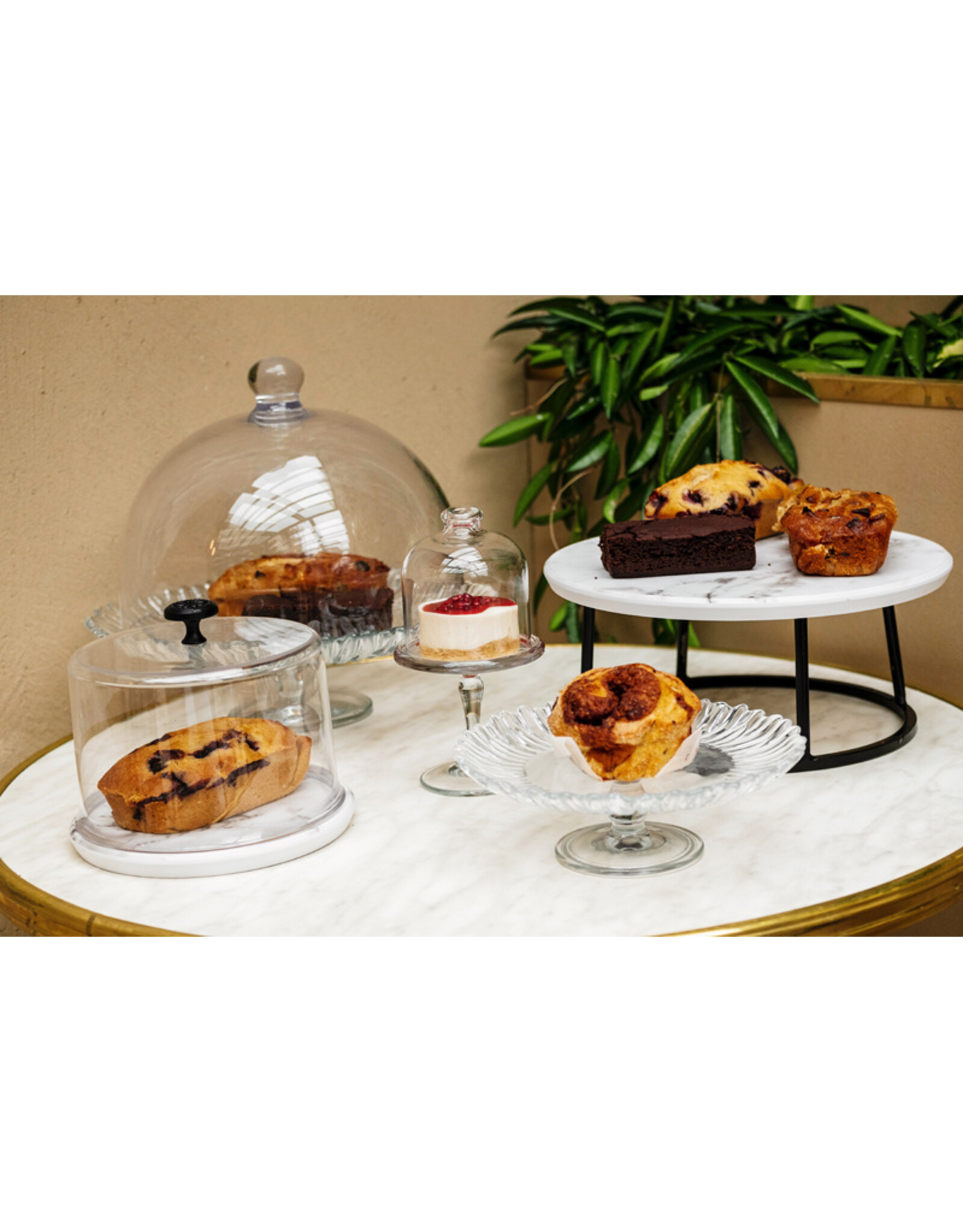 Stylepoint Stolp  uit Polycarbonaat, 21x17cm, de perfecte combinatie van functionaliteit en esthetiek voor het beschermen  en presenteren van gerechten