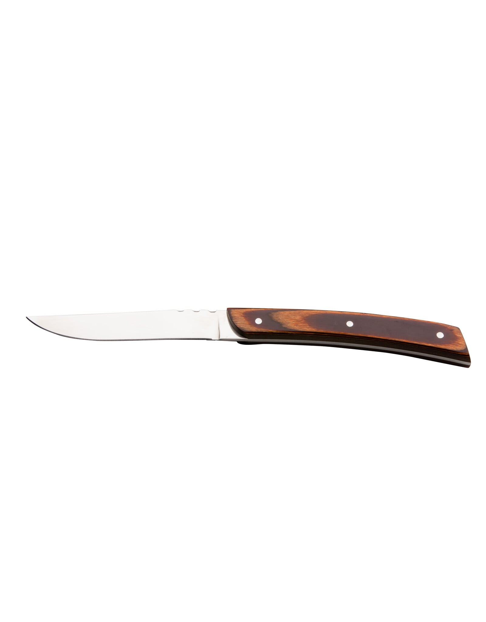 Stylepoint Nashville Steak mes 22 cm