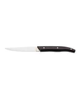 Stylepoint Knoxville Steak knife 24 cm