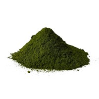 Premium grade freeze dried Nannochloropis ('Japanese Chlorella') microalgae