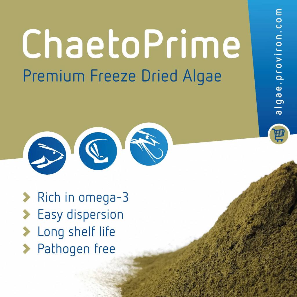 ChaetoPrime now available!