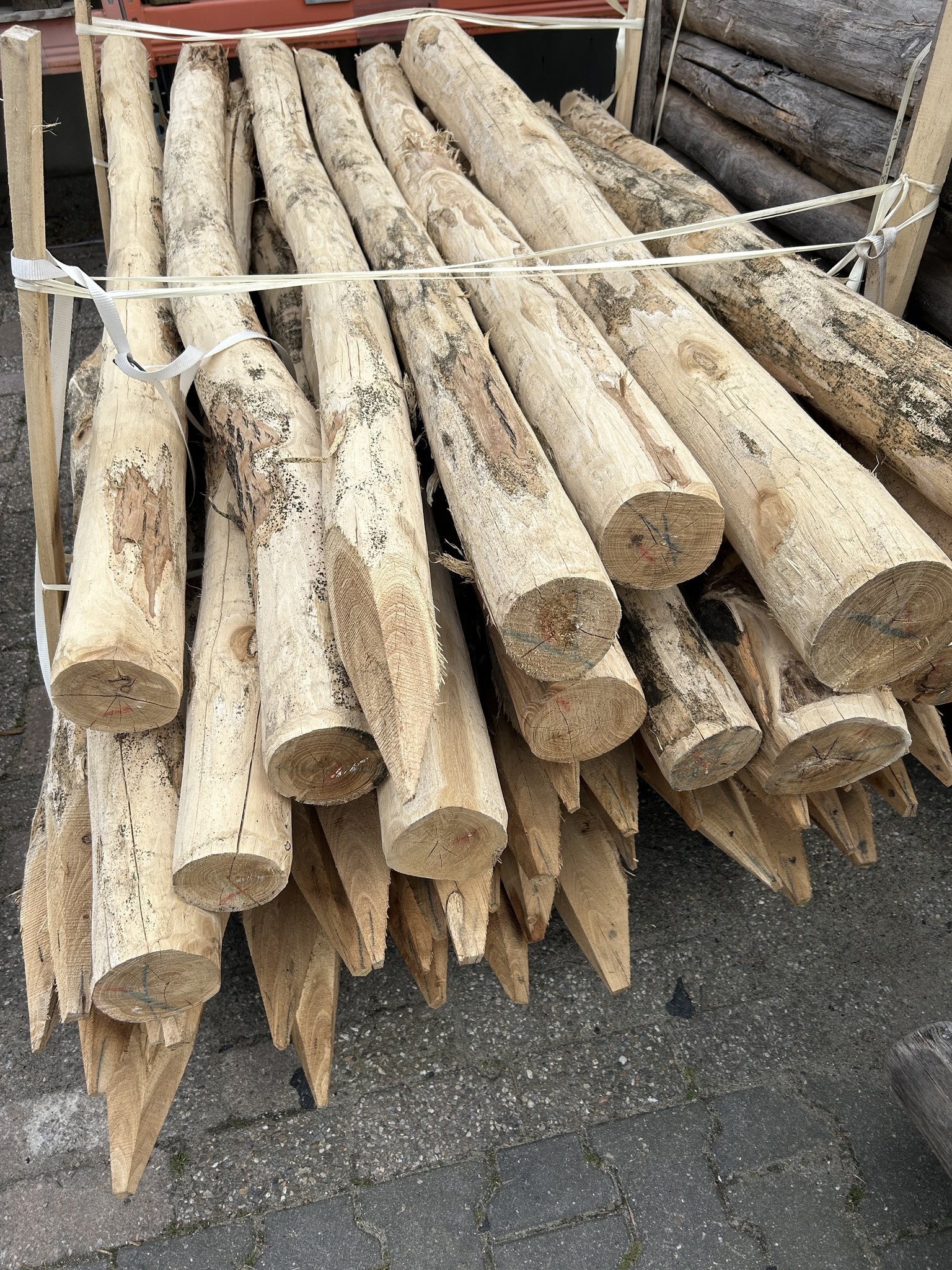 Robinia palen 1012 cm Betondingen