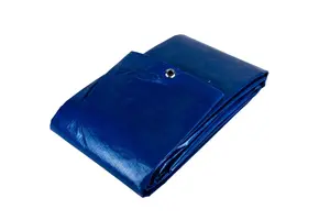 5x6 blauw 150gr afdekzeil