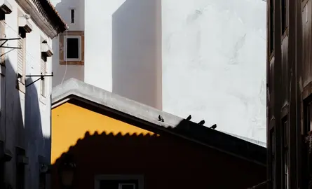 Zonwering per gevelrichting: wat werkt op oost, zuid en west?