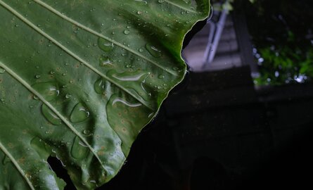 Waterafvoer bij waterdichte schaduwdoeken: zo voorkom je waterzakken