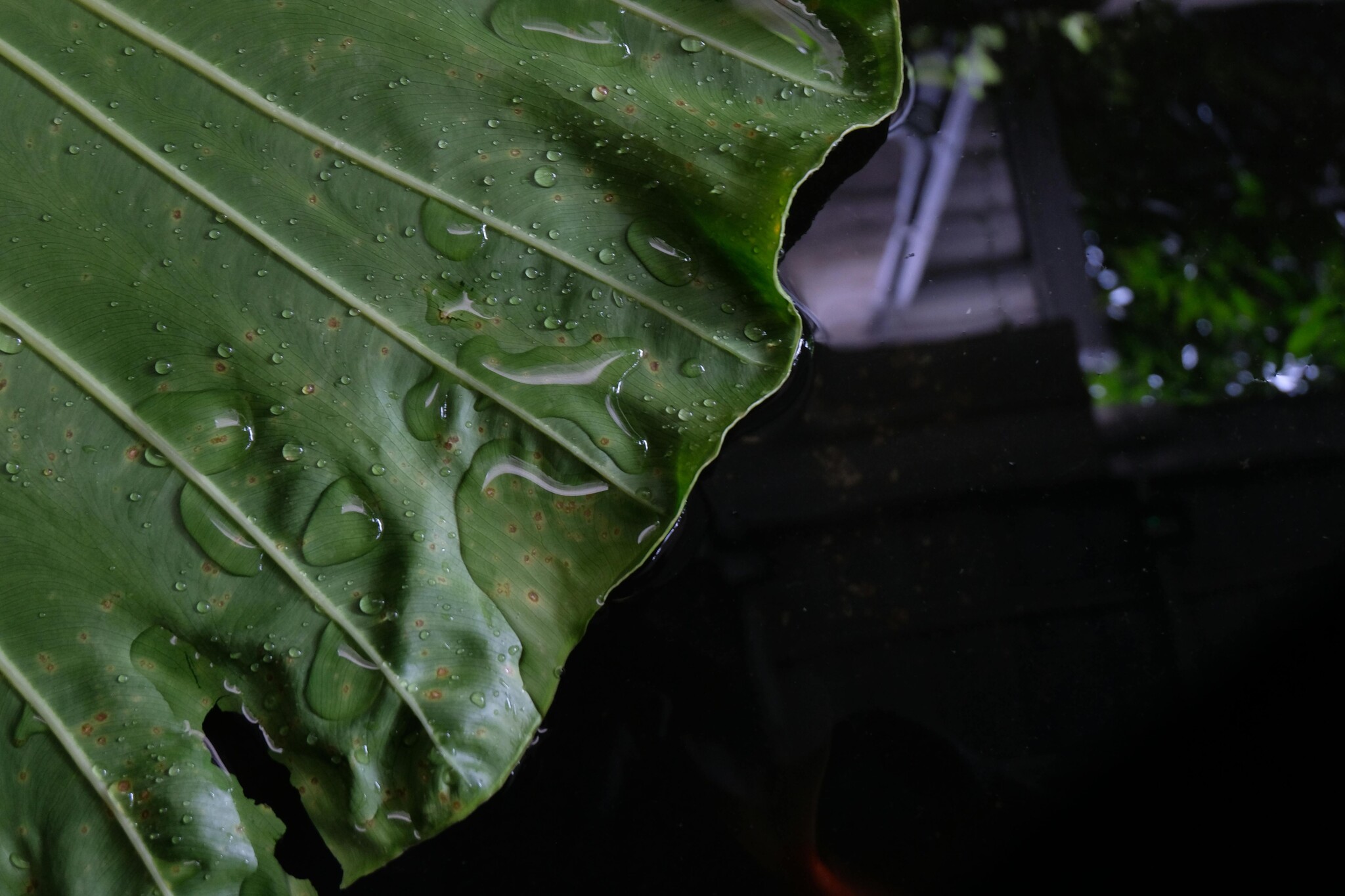 Waterafvoer bij waterdichte schaduwdoeken: zo voorkom je waterzakken