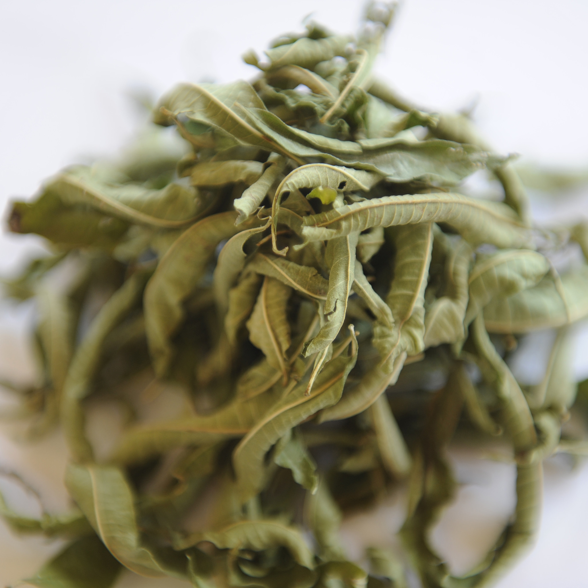 Satemwa #801 Lemon Verbena (Ijzerkruid - Verveine)