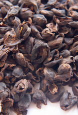 Satemwa #805 Cascara