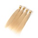 UR Luxury Hair Brazilian hair - Straight #613 Blond UR Luxury Hair Brazilian hair - Straight #613 Blond