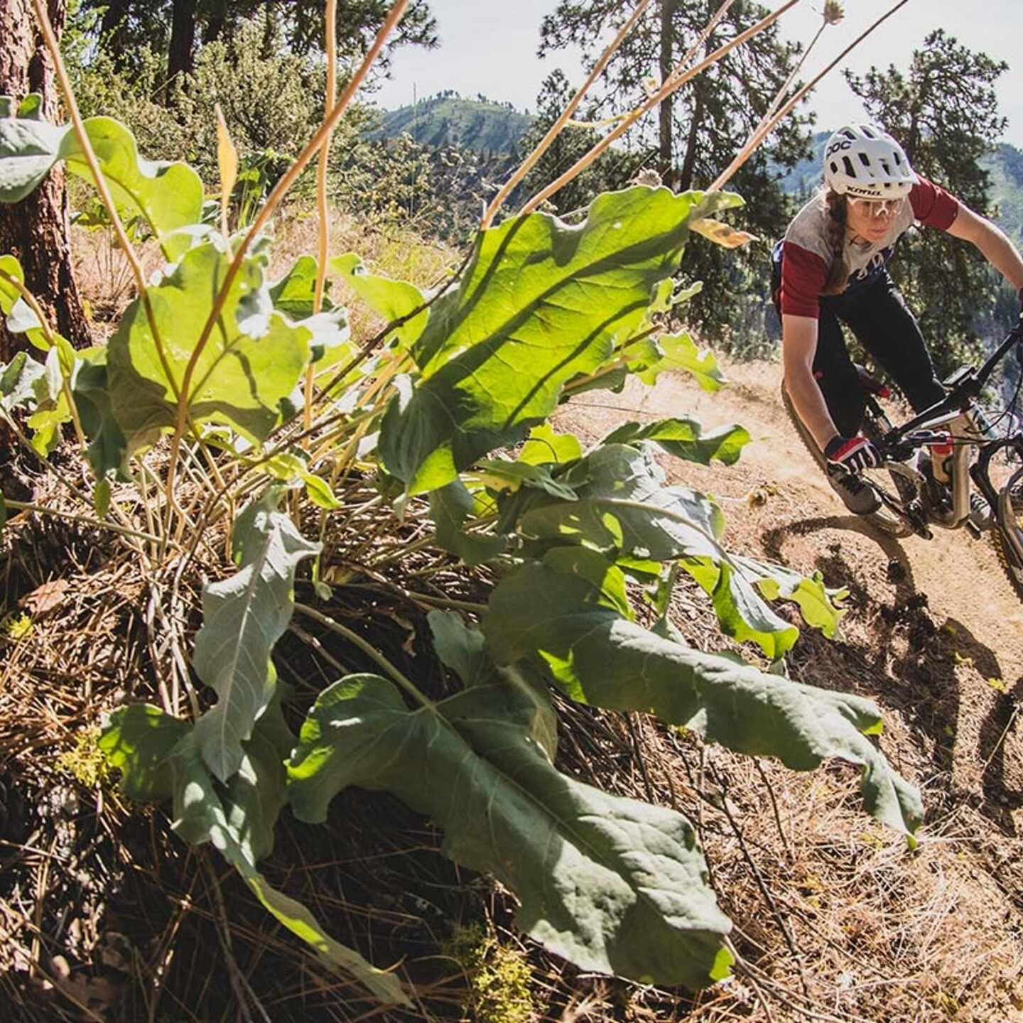 Buy Mountain Bikes Ireland Bike Shop Wicklow MTB Specialist Rocky