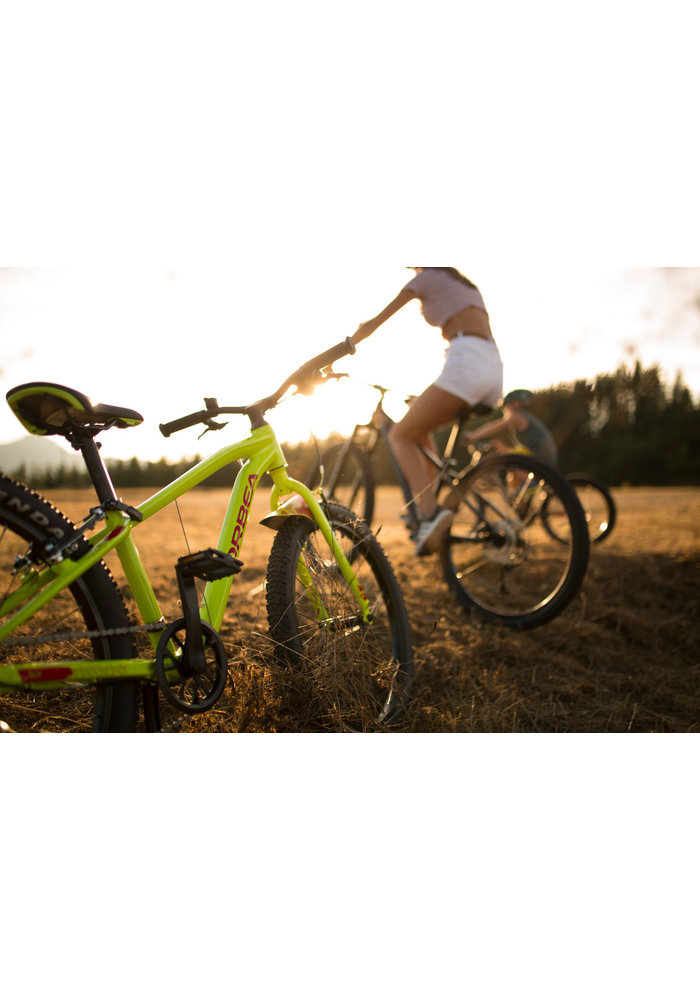Orbea MX 24 Team | Dirt Bikes for Kids 