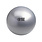 Fitness Mad Fitness Mad Swiss Ball with Hi-Speed Pump