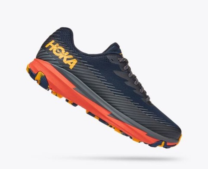 Hoka Hoka Torrent 2