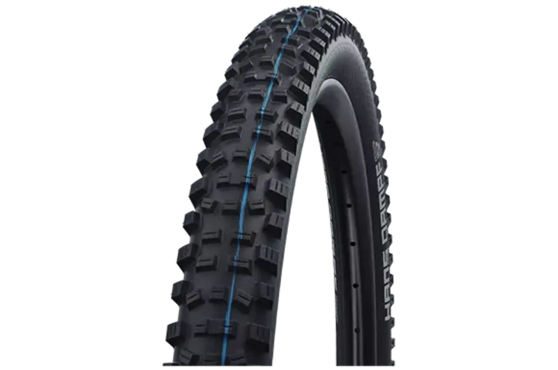 Schwalbe Schwalbe HANS DAMPF EVO SnakeSkin Addix Soft TLE 29X2.35