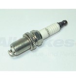 NLP100290L-CHAMPION Spark Plug Frl1 1.8P 2.5V6