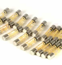 RTC4505 FUSE 25AMP GLASS