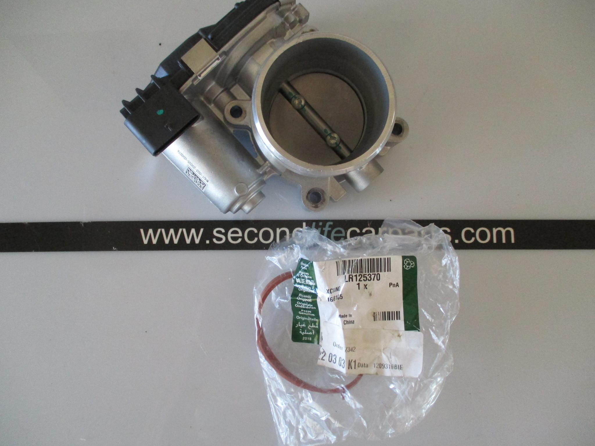 LR125398  Throttle Body And Motor