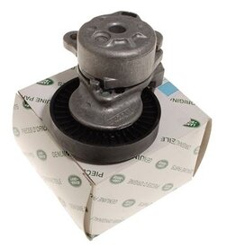 PQG100180  Power Steering Belt Tensioner