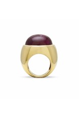 Private Label CvdK Private Label CvdK  gouden ring rubelliet