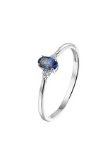 Private Label CvdK Private Label CvdK  gouden ring diamant