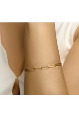 Private Label CvdK Private label CvdK armband in 14 krt. geelgoud met paperclip schakel