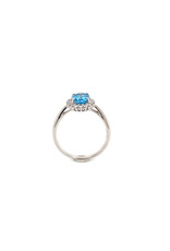 Private Label CvdK Private Label CvdK witgouden halo ring diamant/topaas
